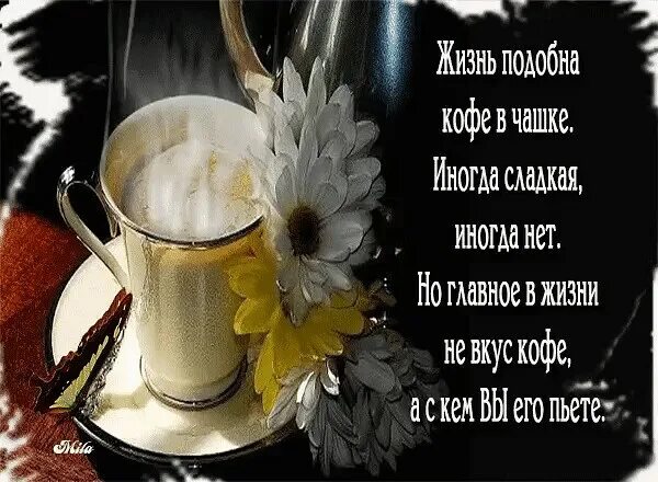 жизнь подобна. пифагор жизнь подобна игрищам. жизнь подобна. жизнь подобна. в кофе главное с кем ты его пьешь.