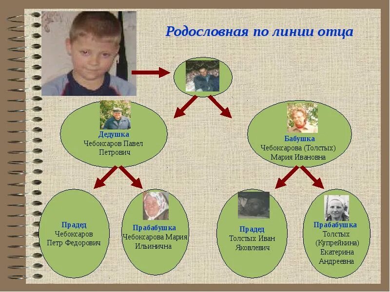 Оформление родословной 2 класс окружающий мир. Моя родословная. Проект родословная. Родословная 2 класс. Проект родословная окружающий мир 2 класс 2.