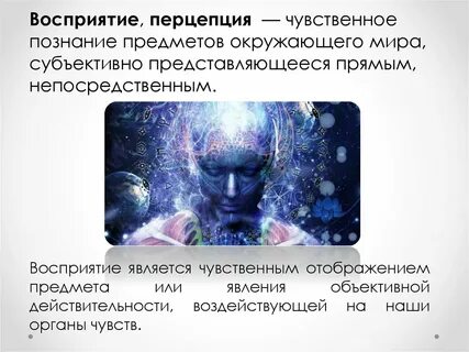 Роль восприятия в познании
