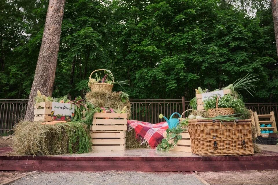 Мишкины сады. Садик огородик Кузьминки. Кузьминки парк огородик. Парк Кузьминки садик. Парк Кузьминки выставка цветов.