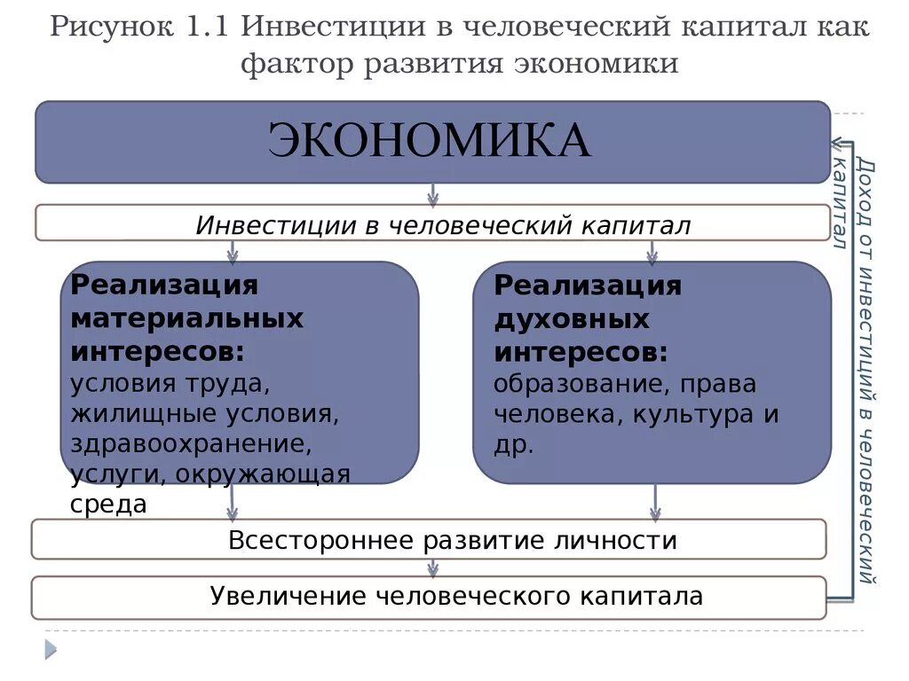 Ано человеческого капитала. Инвестиции в человеческий капитал. Структура человеческого капитала. Структура инвестиций в человеческий капитал. Факторы формирования человеческого капитала.