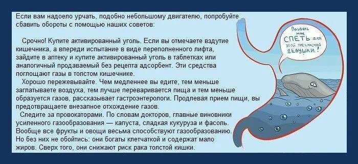 Почему у ребенка урчит живот. Урчание в животе. постоянное урчание и бурление в животе. урчание в желудке. урчание в животе причины.