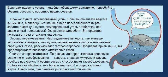 Урчание в животе. Сильное урчание в желудке причины. Сильное урчание в животе причины. Урчание в желудке после еды.