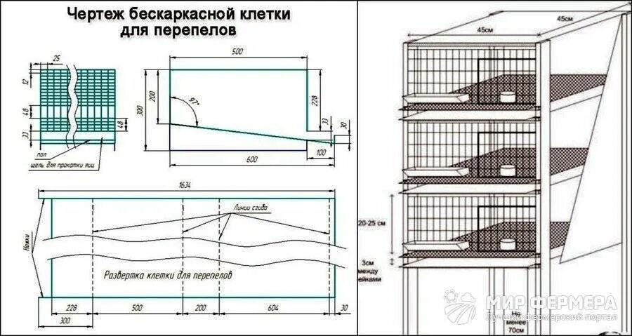 Клетка для перепелов Размеры чертеж. Клетка для перепелов чертеж сетка. Чертеж клетка Брудер для перепелов. Клетки для перепелов своими руками Размеры и чертежи. Максимальный размер клетки