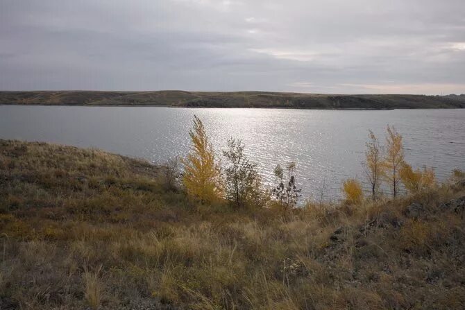 Ириклинское водохранилище Оренбургская область. Троицкое водохранилище Оренбургская область. Ириклинское водохранилище осетр. Ириклинское водохранилище оренбургская область фото