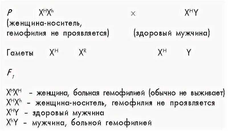 Генотип женщины носительницы гемофилии