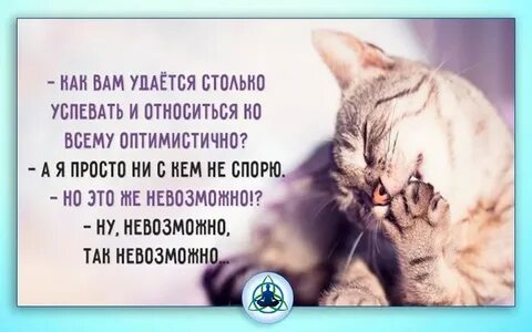 Ко всему к этому