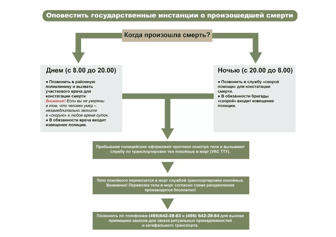 Если умер родственник на работе дают. Порядок действий после смерти родственника. Порядок действий после смерти родственника дома. Алгоритм действий при смерти человека. Алгоритм действий при смерти родственника.