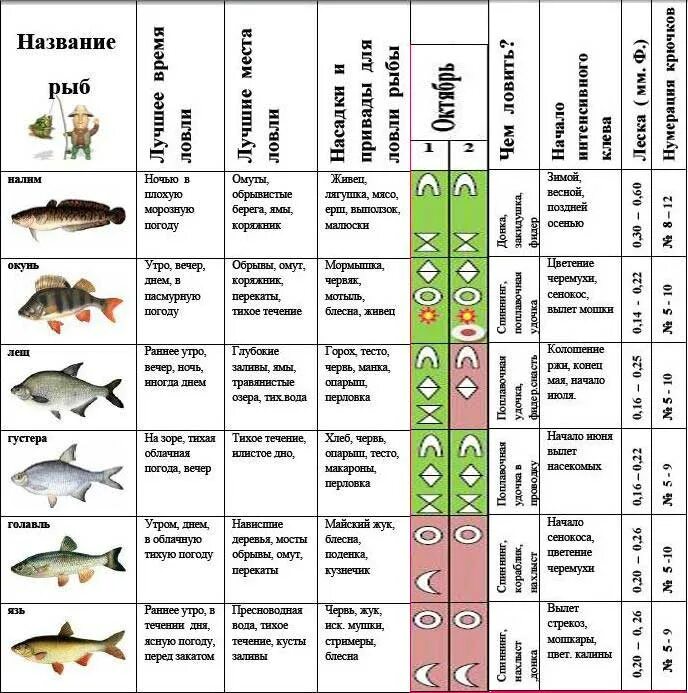 В какое время года ловят. Какое давление для рыбалки. Оптимальное давление для рыбы. Таблица давления ловли рыбы зимой. Какое давление лучше для рыбалки.