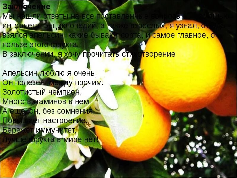 Уличная акция апельсин вкуснее. Загадка про апельсин для детей. Апельсин этимология. Апельсин словарное слово. Интересные факты о апельсине.