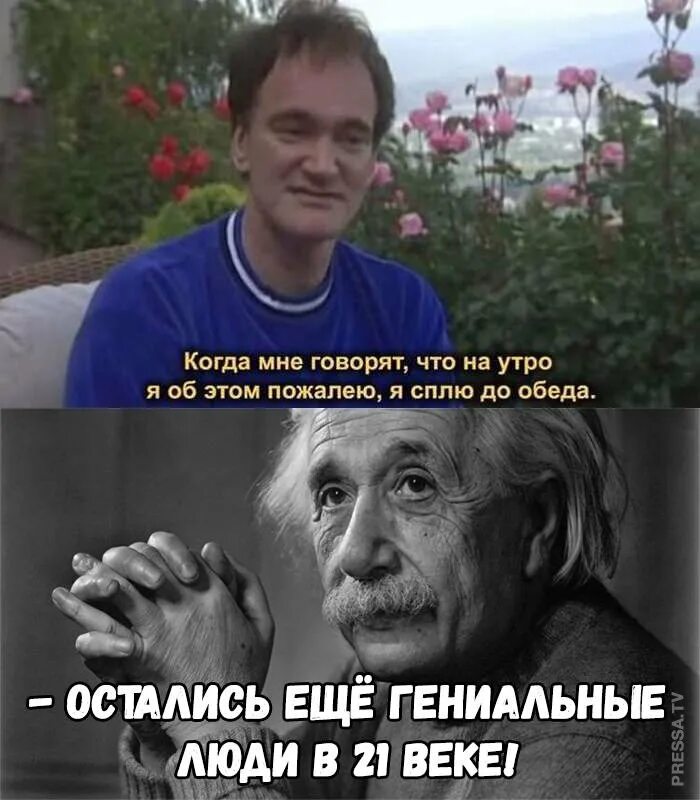 Вырос мем. Старк мем. Надо думать прежде чем говорить. Мое лицо когда. Лицо тони старка мем.