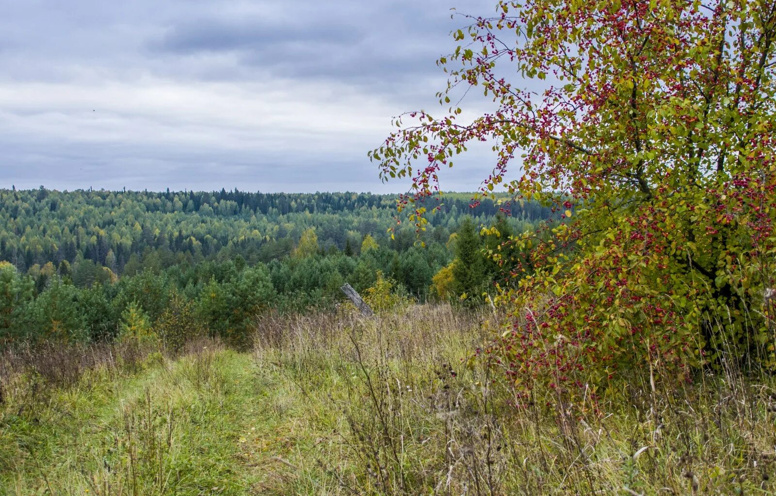 Суводи Кировская область. Суводь Советский район. Село Суводь советского района Кировской области. Суводи Кировская область Оричевский район.