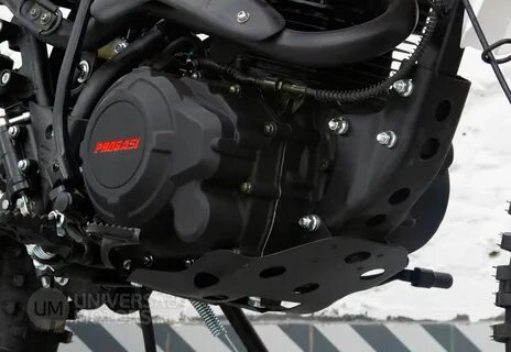 Эндуро progasi smart max 150