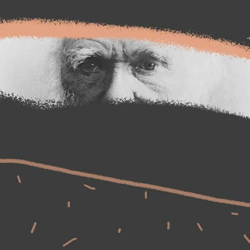 парк юрского периода 1 фильм 1993. дэннис нэдри парк юрского. квантовые сосиски доцента юрского. квантовые сосиски доцента юрского. мир юрского периода 2 ян малкольм.