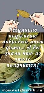 Зажечь лавровый лист