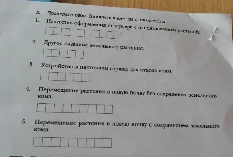 Впишите в клеточки слова ответы. 64 Впишите в клеточки слова-ответы. Впишите в клеточки слова ответы технология. Впишите в клеточки слова ответы номер 64.