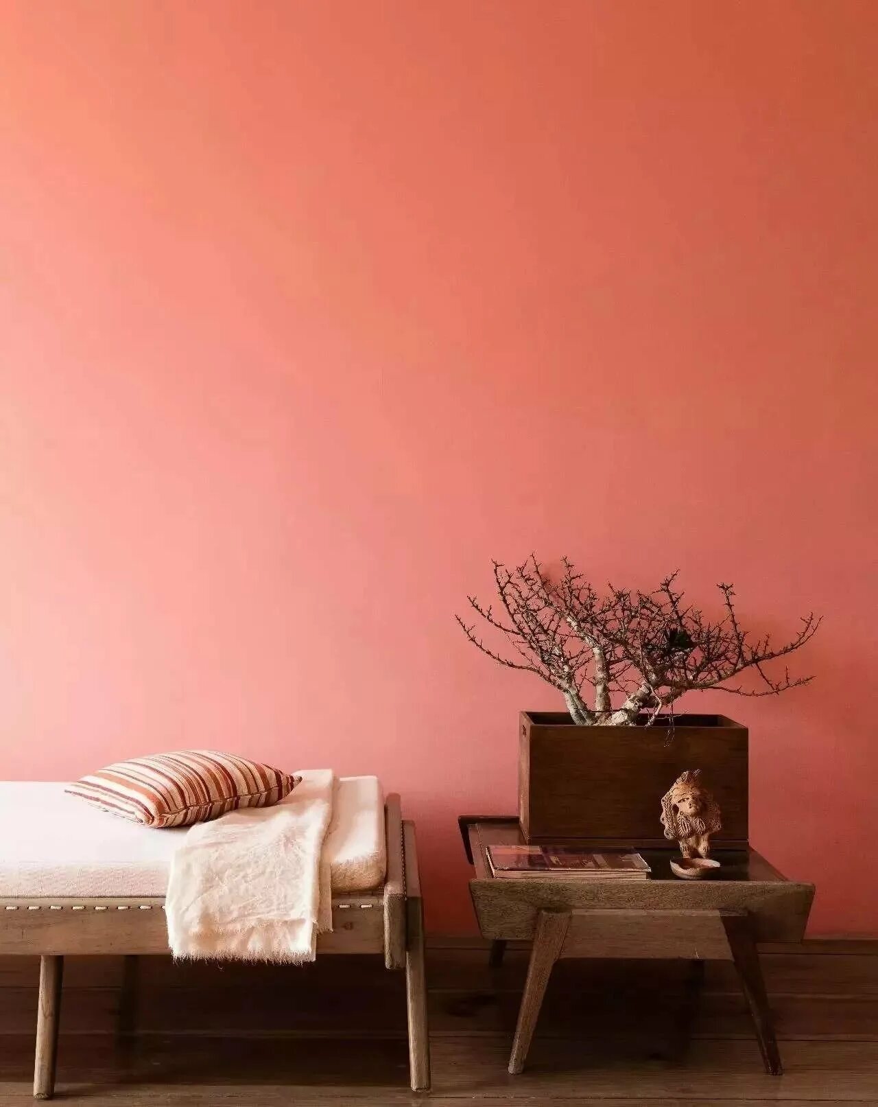 Персиковый цвет краски для стен. Персиковая краска для стен. Крашенные стены. Однотонные стены в интерьере. Краски под обои цвета