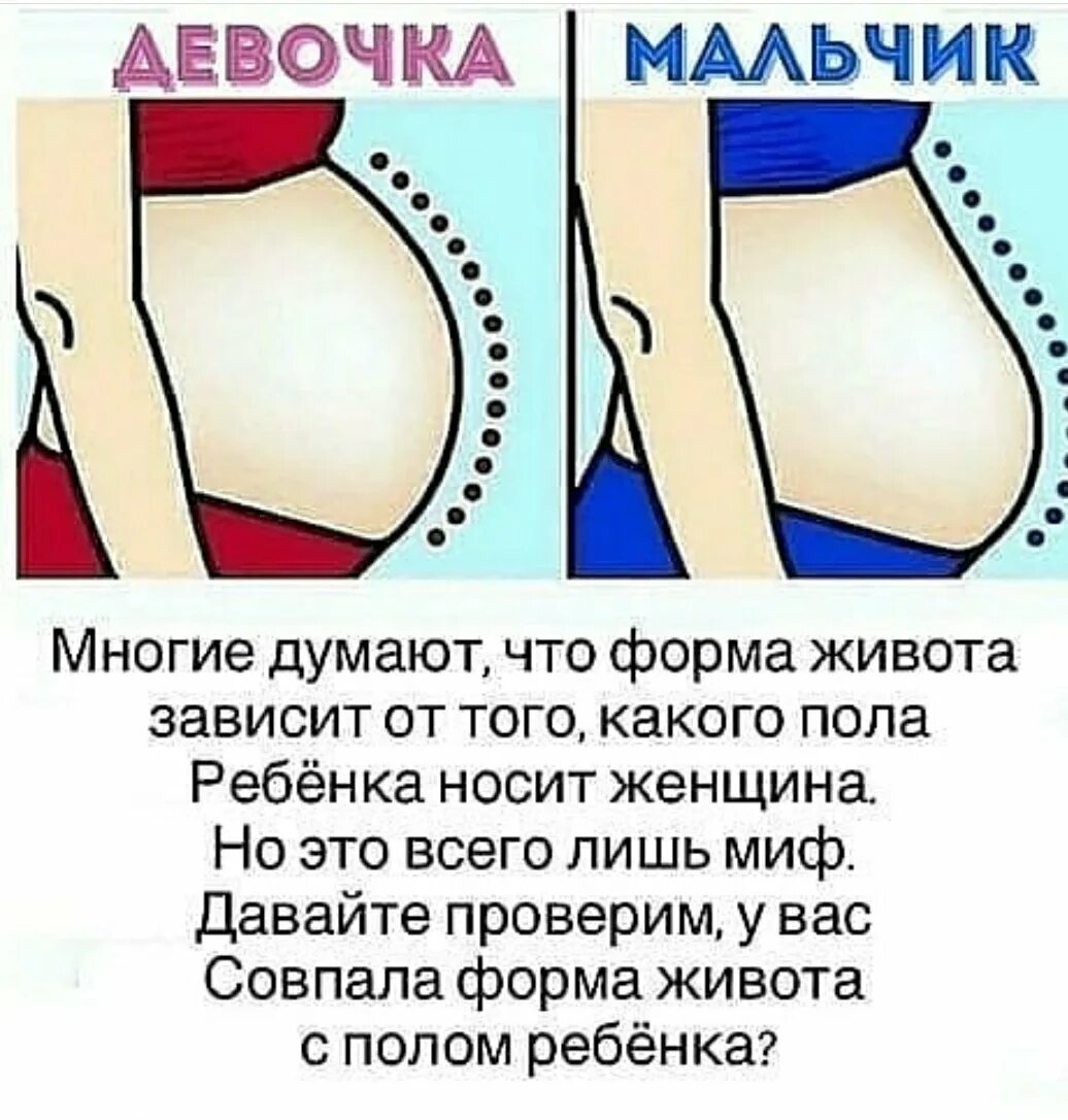 Чем отличается беременность девочкой. Формс живота и пол ребенка. пол ребенка по животику. форма живота с мальчиком и девочкой. пол ребенка по животу беременной.