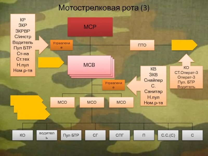 Состав мотострелковой роты. Организационно-штатная структура МСБ на БМП БТР. Состав МСР на БМП. Организационная структура МСБ на БТР. Структура МСБ на БТР.