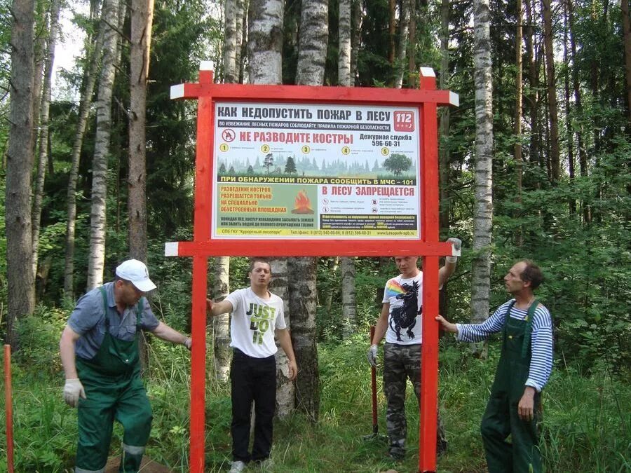 аншлаги противопожарные. информационные аншлаги в лесу. противопожарные аншлаги в лесах. установка аншлагов. противопожарные аншлаги в лесу.