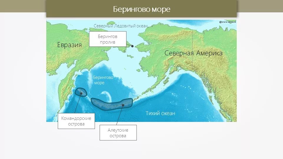 Чем северная америка отделена от евразии. Берингово море и Берингов пролив на карте. Берингов пролив на карте Северной Америки. Берингов пролив на контурной карте Северной Америки. Берингово море, Берингов пролив и остров Беринга.