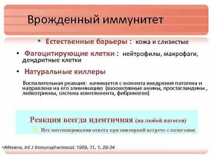 Барьеры иммунной системы