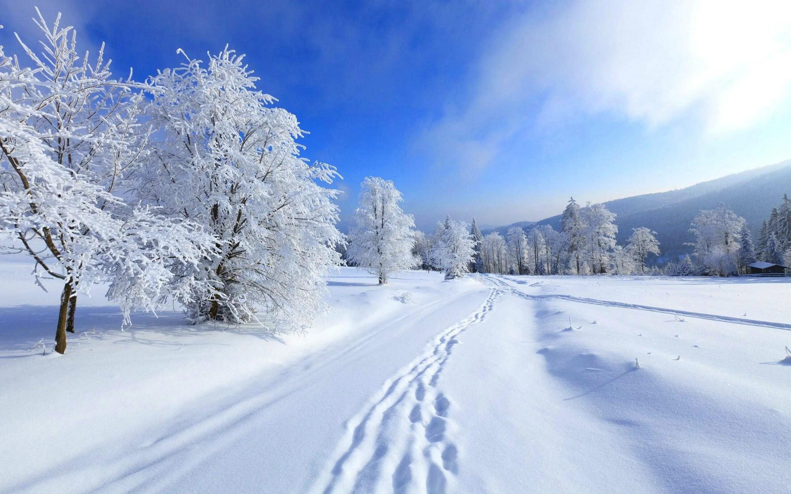 Снежный день на русском. Зимняя природа. Зима пейзаж. Снежная зима. Красивая зима.