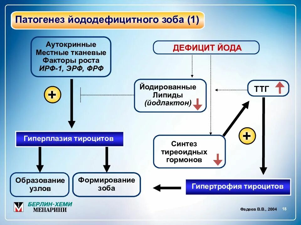 Йод повышает ттг. Эндемический зоб патоген. Патогенез йододефицитных заболеваний. Патогенез заболеваний щитовидной железы. Патогенез йоддефицитного зоба.