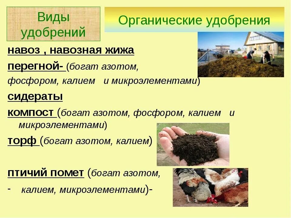 Удобрение органическое. Органические удобрения презентация. Органические удобрения для почвы. Презентация на тему удобрения. Польза навоза
