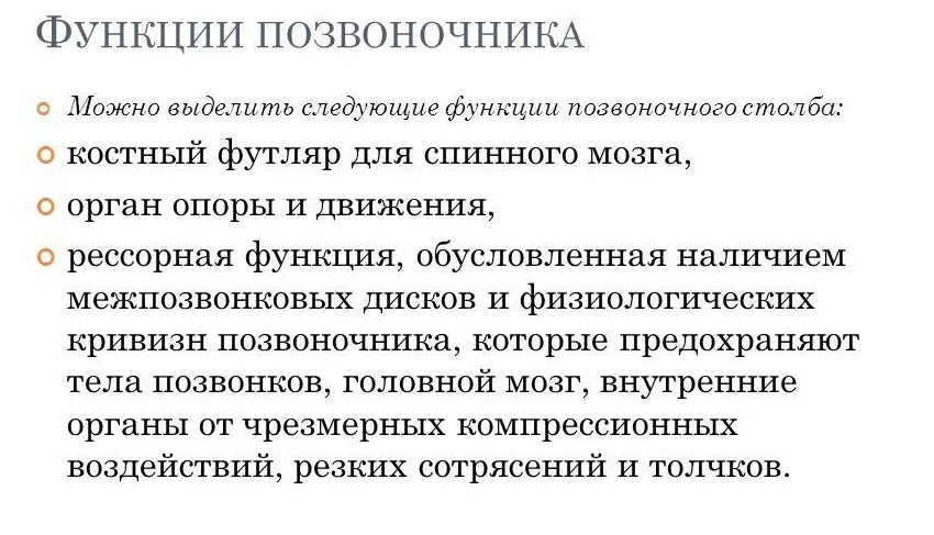 Функции позвоночных. Основные функции позвоночника. функции отделов позвоночного столба. главная функция позвоночника. функции позвоночника человека.