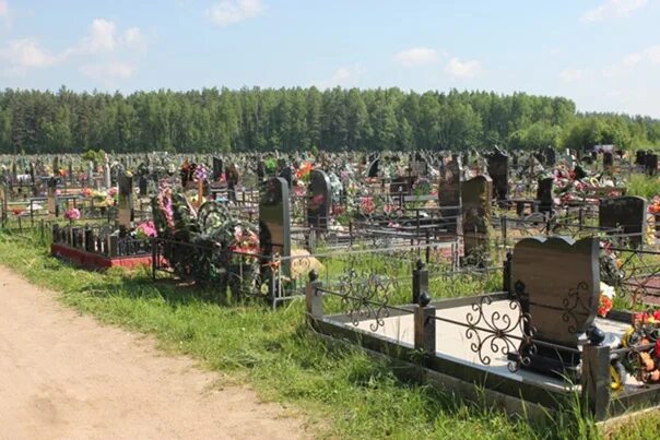 Городское кладбище новомосковск. Кладбище город новомосковск тульская область. Кладбище с ильинка. Кладбище на гипсовом новомосковск. Новомосковское городское кладбище.
