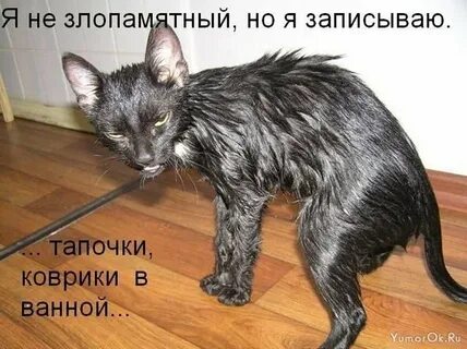 Злопамятный
