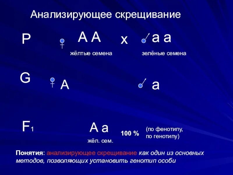 Каков генотип особи аа. Анализирующее скрещивание. Анамуируещее скрещивание. НАЛИЗИРУЮЩЕЕ скрещивани. Схема анализирующего скрещивания.