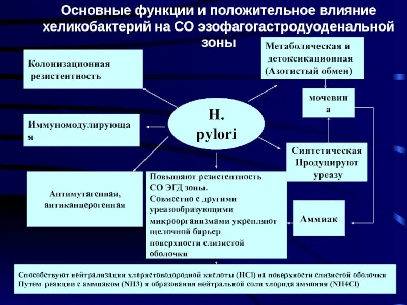 Механизмы колонизационной резистентности. Колонизационная резистентность это микробиология. Участие микрофлоры в колонизационной резистентности. Колонизационная резистентность