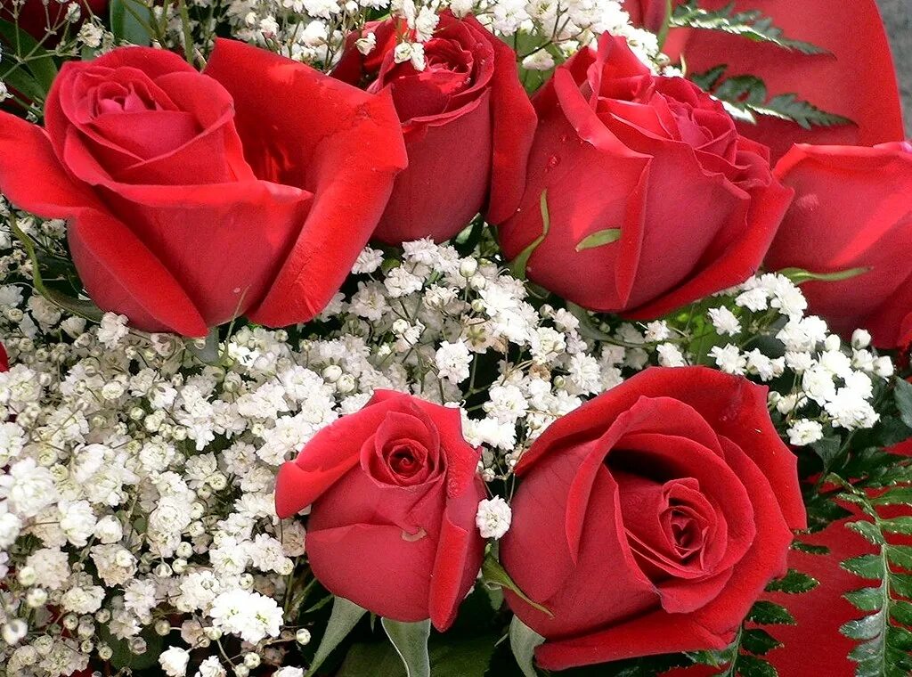 Мерцающие букеты роз. Красные розы открытка. Красивые мерцающие букеты. Розы букет мерцание.