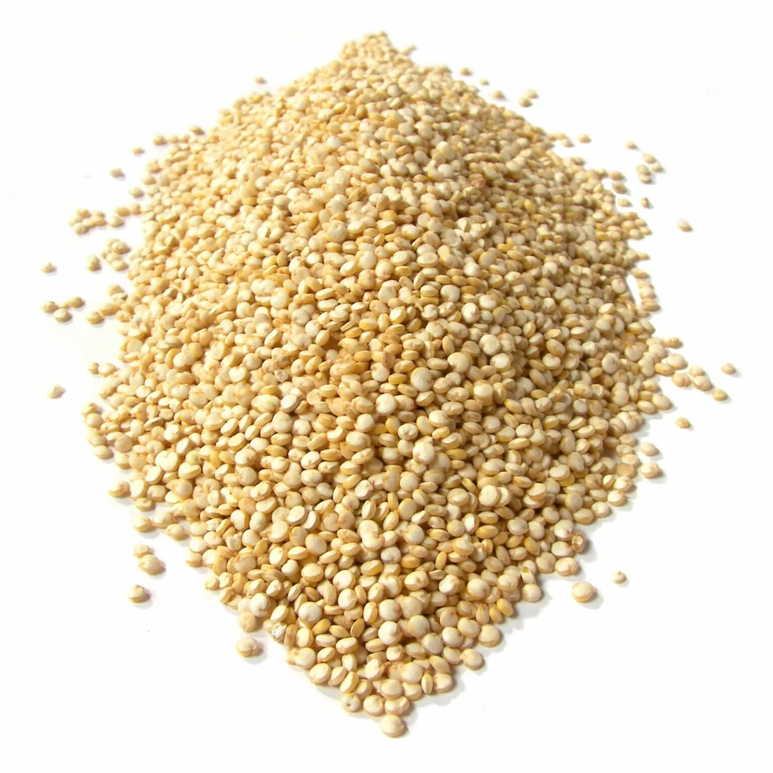 крупа киноа - красная. крупа киноа киноа. киноа на белом фоне. киноа триколор, зерно. киноа крупа.