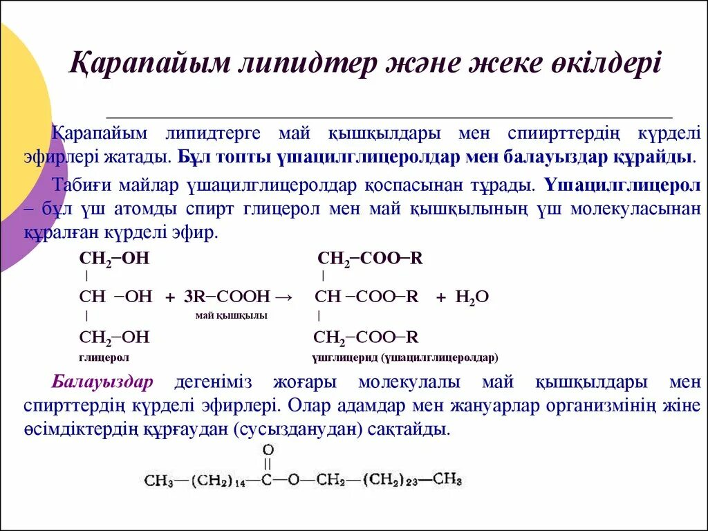 Липидтер. Липидтер презентация. Майлар химия. Майлар формула. Майлар презентация.