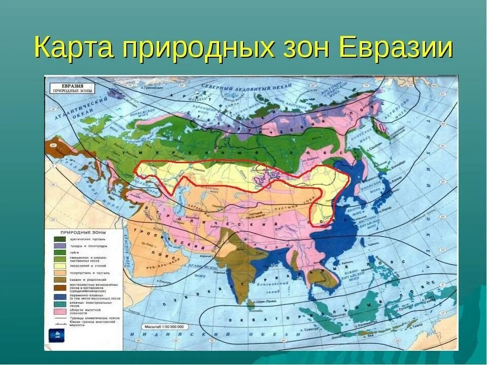 Самый большой по площади климатический пояс евразии. Карта евразия природные зоны материка. природные зоны евразии контурная карта. карта природные зоны евразии 7 класс география. природные зоны на географической карте евразии.