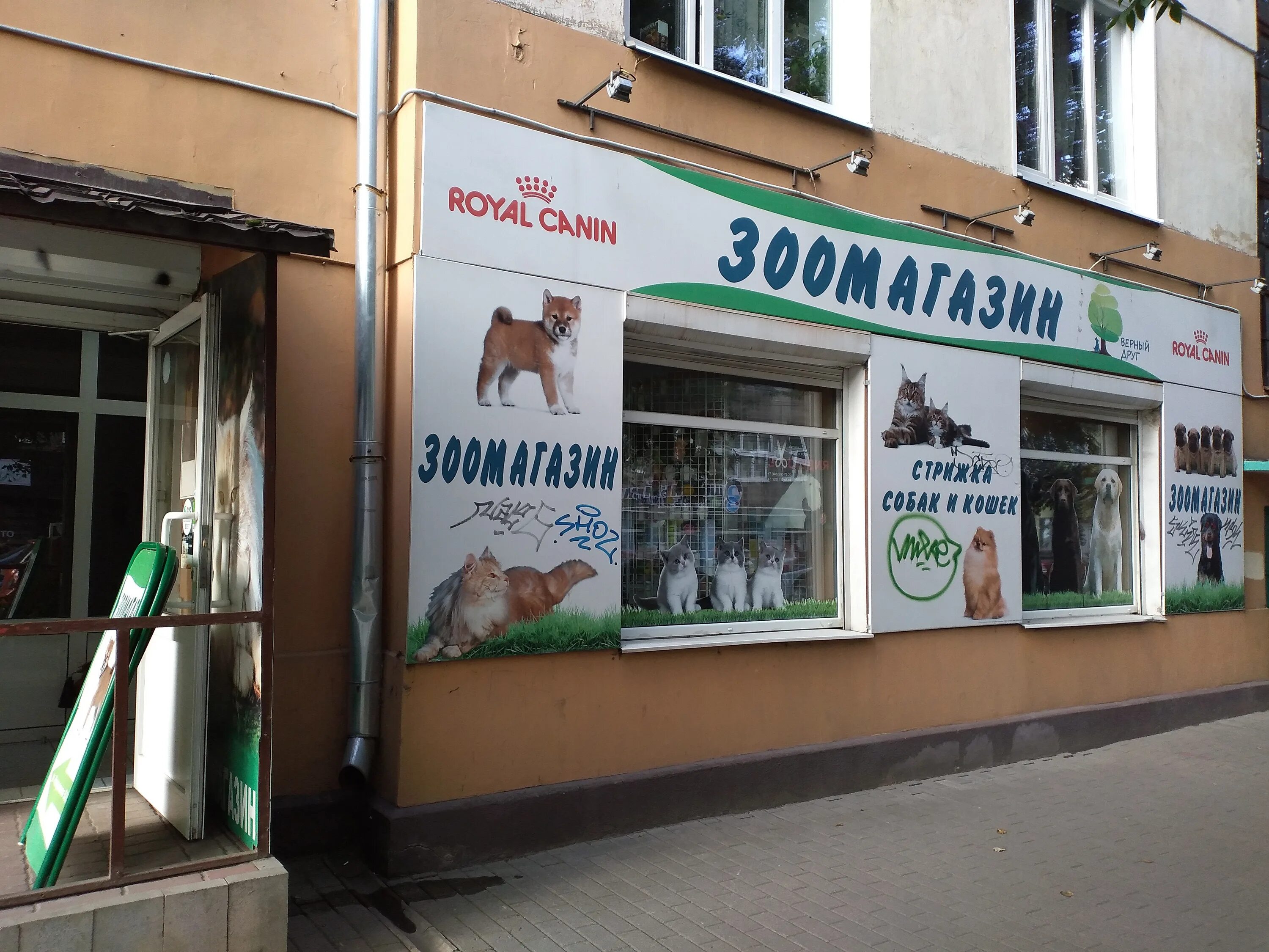 конкурс верный друг 2022. верный друг иваново. малвин иваново ветклиника. конкурс верный друг 2021. зоомагазин верные друзья.