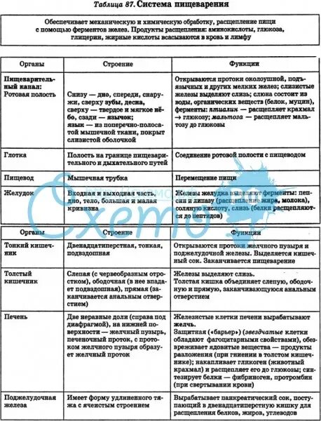 Пищеварительные органы человека таблица. Таблица по биологии строение и функции пищеварительной системы. Таблица органы пищеварения их строение и функции. Пищеварительная система органы и функции таблица. Таблица по системам органов пищеварения.