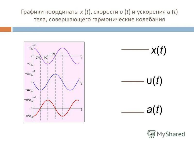 График зависимости координаты колеблющегося тела от времени. График координаты скорости гармонические колебания. Графики смещения скорости и ускорения. Графики смещения скорости и ускорения гармонические колебания. Изменение скорости при гармоническом колебании.