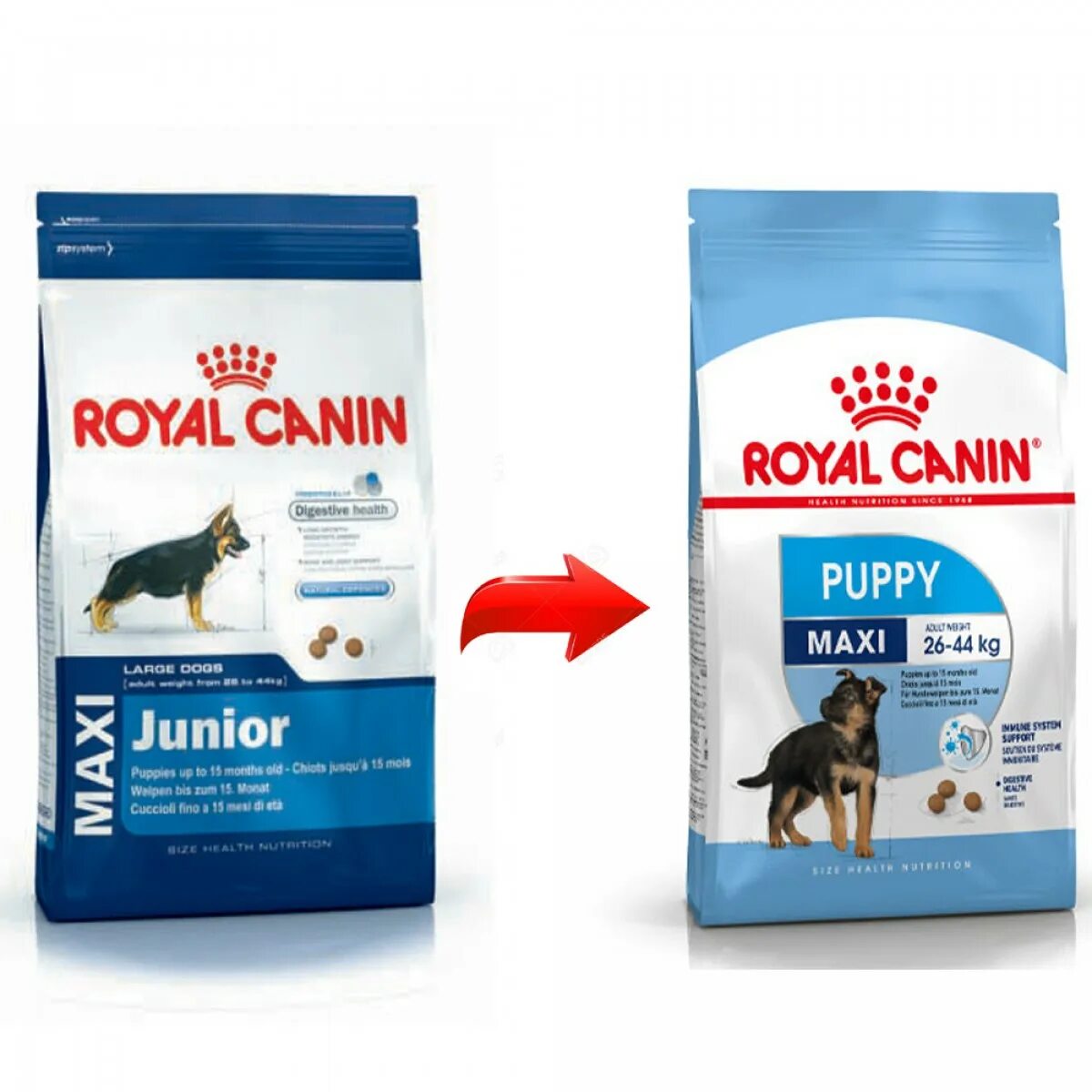 Роял канин макси паппи. Корм Роял Канин Джуниор макси. Royal Canin Maxi Puppy. Роял Канин макси Паппи таблица.