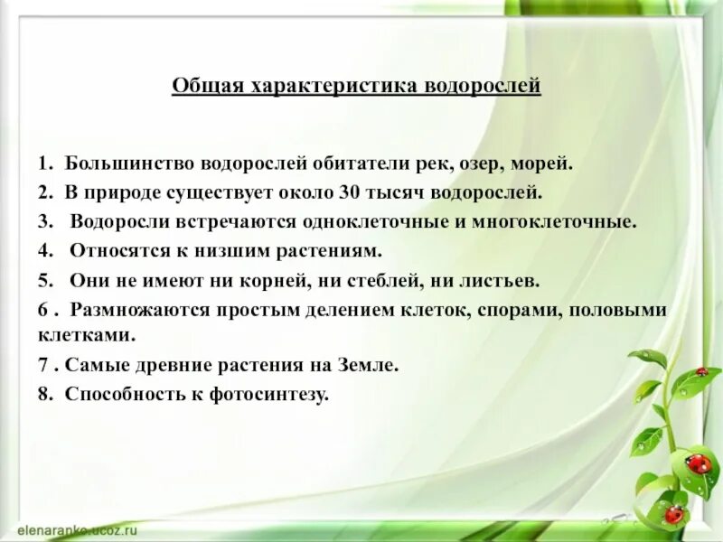 Характеристика классов водорослей. Водоросли общая характеристика 5 класс биология. Общая характеристика водорослей 6 класс биология кратко. Характеристика водоросле. Характеристика водорослей.