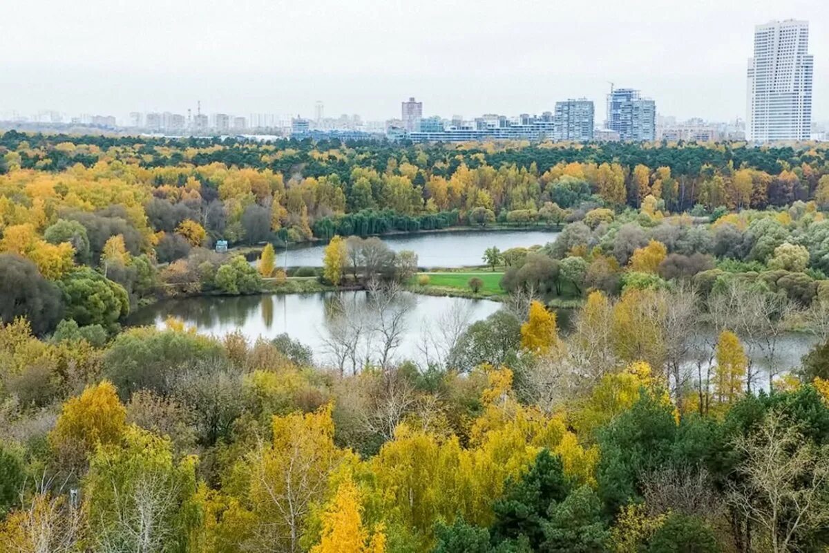 Парк покровское-стрешнево пикниковая зона. Малиновка стрешнево. Малиновка стрешнево. Малиновка стрешнево. Покровское стрешнево пруды.