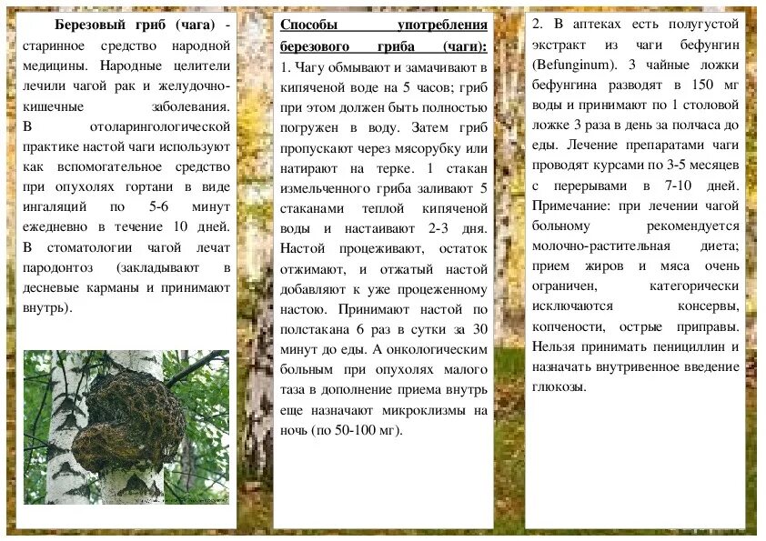 Чага применение в народной. Чага. Чага народной медицине. Чага в народной медицине рецепты. Способ применения чаги.