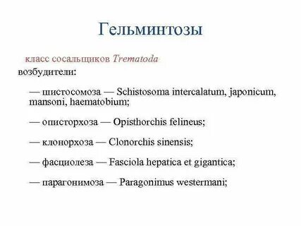 Возбудитель гельминтоза