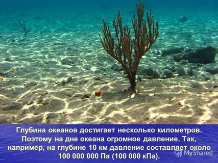 Давление на дне океанов