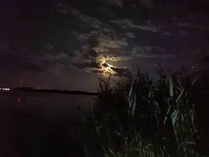Лови ночь