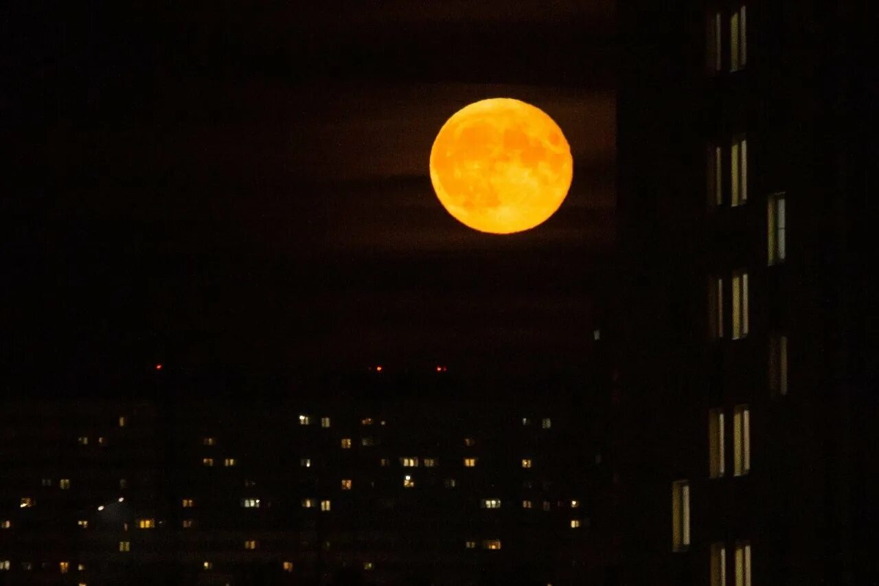 Оранжевая Луна. Огромная оранжевая Луна. Красная Луна. Яркая Луна.