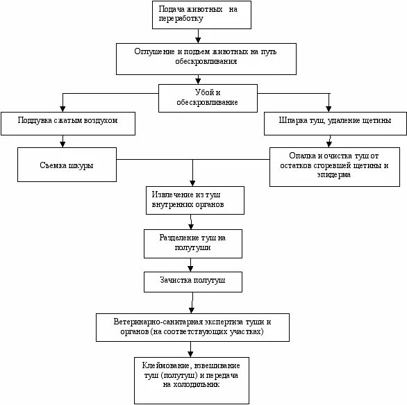 Технологические процессы содержания животных. Схема убоя и первичной обработки КРС. Технологическая схема переработки крупного рогатого скота. Технологический процесс убоя скота. Технологическая схема первичной переработки КРС.